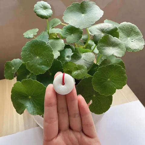 Peace Healing Crystal Jadeite,Circle Coi Stone Pendant